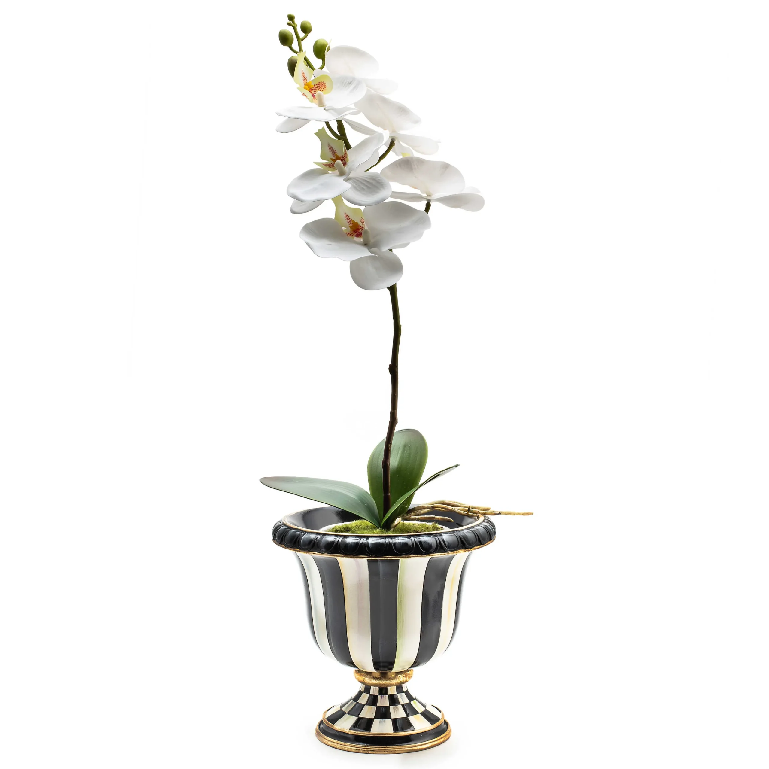 MacKenzie-Childs Courtly Check Orchid Drop In* Greenery & Florals