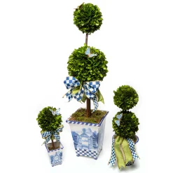 MacKenzie-Childs Royal Boxwood Topiary - Medium* Greenery & Florals