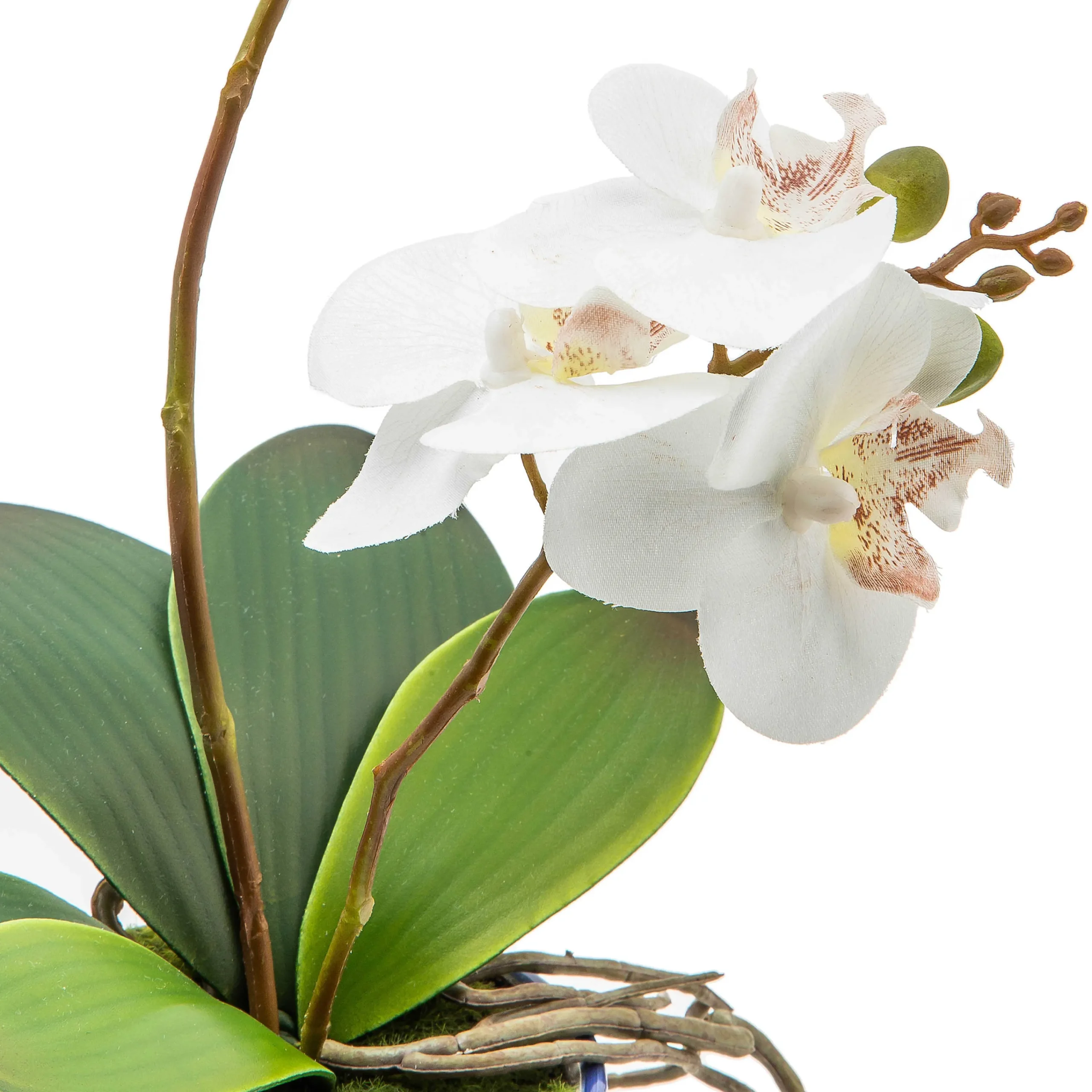 MacKenzie-Childs Royal Toile Potted Orchid - Medium* Greenery & Florals