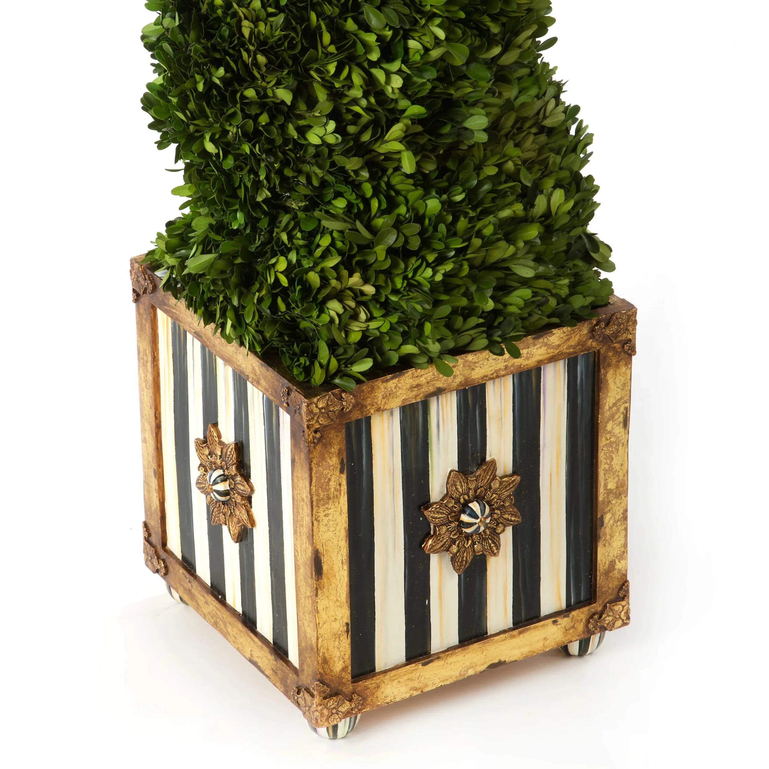 MacKenzie-Childs Swirl Topiary* Greenery & Florals