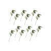 MacKenzie-Childs Wild Rose Spray Bouquet - Cream - Set Of 12* Greenery & Florals